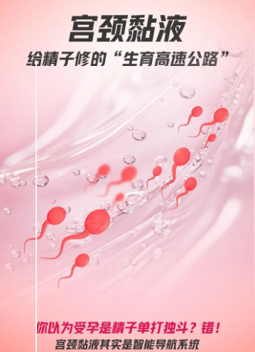 宫颈黏液：给精子修的“生育高速公路”！