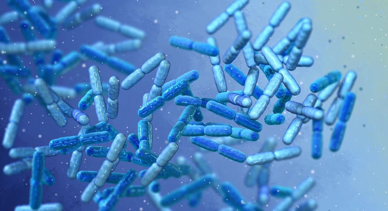 微信图片_20250910141810.jpg 微信图片_20250910141810.jpg