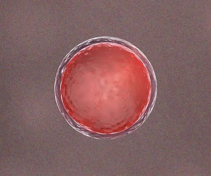 e60a25fb00575796b9f74573826dcb62.jpg e60a25fb00575796b9f74573826dcb62.jpg